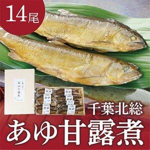 ふるさと納税 千葉北総のあゆ甘露煮14尾入り【1109207...