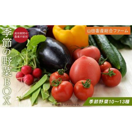 ふるさと納税 長崎県産　季節野菜 BOX 10〜13種 詰め合わせ＜山田畜産総合ファーム＞ 長崎県