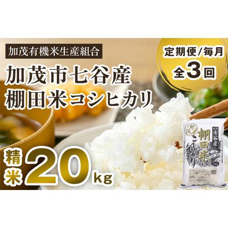 ふるさと納税 【定期便3回毎月お届け】新潟県加茂市 七谷産 棚田米コシヒカリ 精米20kg（5kg×...