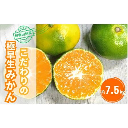 ふるさと納税 【2026年秋頃発送予約分】＼光センサー選別／【農家直送】こだわりの極早生みかん 約7...