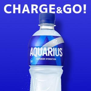 ふるさと納税 アクエリアス 500ml×24本...の詳細画像1