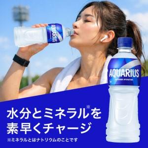 ふるさと納税 アクエリアス 500ml×24本...の詳細画像2
