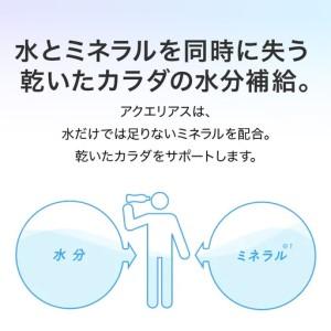 ふるさと納税 アクエリアス 500ml×24本...の詳細画像3