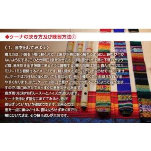 ふるさと納税 熊本県 球磨村産竹使用 アンデス...の詳細画像4