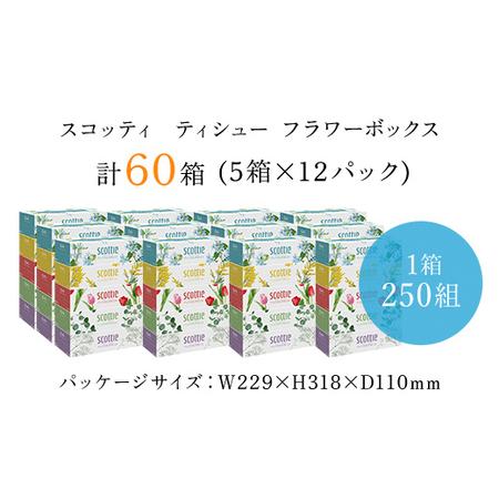 ふるさと納税 値下げしました！【ボックスティッシュ】スコッティティシューフラワーボックス250組60...