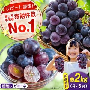 ふるさと納税 【期間限定/8月下旬から9月上旬頃発送】沼隈ぶどう「ピオーネ」 約2kg [BAEV002]ピオーネ 広島県福山市