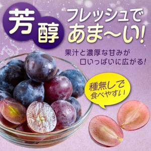 ふるさと納税 【期間限定/8月下旬から9月上旬...の詳細画像2