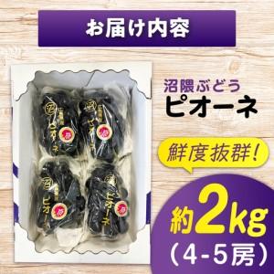 ふるさと納税 【期間限定/8月下旬から9月上旬...の詳細画像3