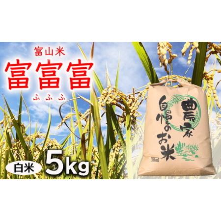 ふるさと納税 【新米予約】農家直送「 富富富 」5kg（白米）｜富山米 ふふふ　※北海道・沖縄・離島...