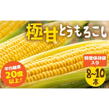 ふるさと納税 《期間限定》2026年先行予約 平均糖度20度以上 極甘とうもろこし 8〜10本 鮮度...
