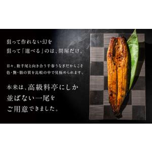 ふるさと納税 厳選 幻の青うなぎ 4尾 うなぎ...の詳細画像2