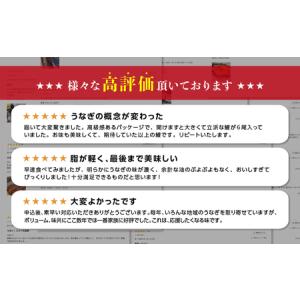 ふるさと納税 厳選 幻の青うなぎ 4尾 うなぎ...の詳細画像3