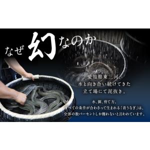 ふるさと納税 最高級 特上 幻の青うなぎ 3尾...の詳細画像1