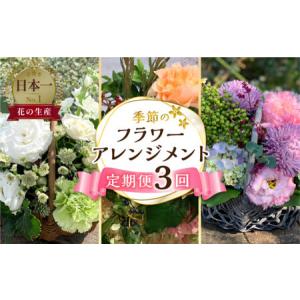 ふるさと納税 【定期便】 3回 季節のフラワーアレンジメント定期便 かご付 生花 愛知県田原市