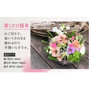 ふるさと納税 【定期便】 3回 季節のフラワー...の詳細画像2
