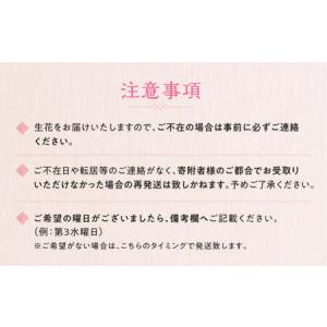 ふるさと納税 【定期便】 3回 季節のフラワー...の詳細画像4