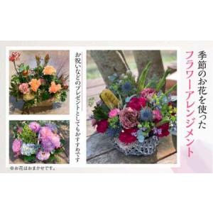 ふるさと納税 【定期便】 6回 季節のフラワー...の詳細画像1