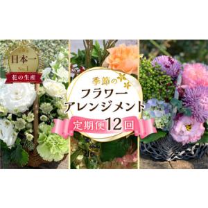 ふるさと納税 【定期便】 12回 季節のフラワーアレンジメント定期便 かご付 生花 愛知県田原市