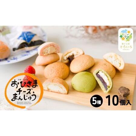 ふるさと納税 そらいろチーズまんじゅう5種10個入ふるさと納税 チーズ饅頭 まんじゅう お菓子 菓子...