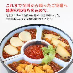 ふるさと納税 fn-25-010 【期間限定品...の詳細画像1