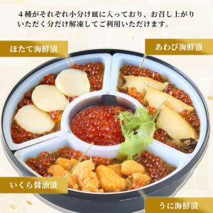 ふるさと納税 fn-25-010 【期間限定品...の詳細画像2