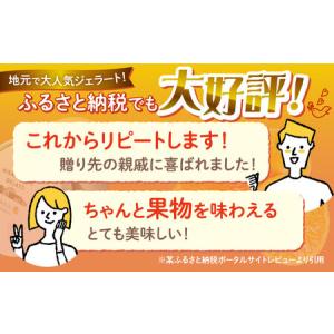 ふるさと納税 【年中人気】【12回定期便】 お...の詳細画像1