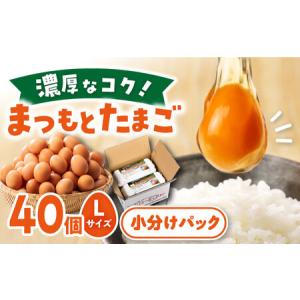 ふるさと納税 まつもと たまご 40個 ＜松本養鶏場＞[CCD001] 長崎 西海 生卵 たまご 鶏卵 卵 卵ギフト 卵 たまご 卵セット 卵焼き 卵かけご飯 ゆ.. 長崎県西海市｜furunavi