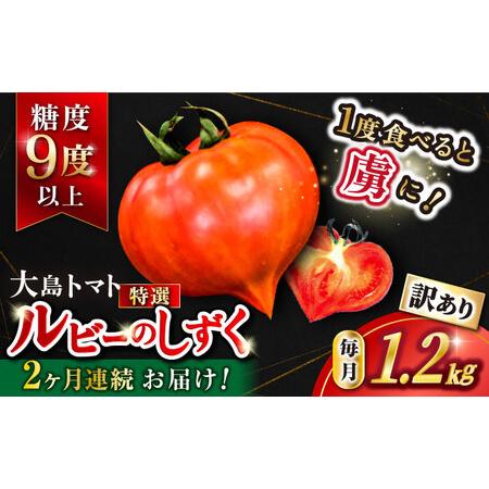 ふるさと納税 高糖度 トマト 【2025年収穫分先行予約】【2回定期便】【 訳あり 】糖度9度以上！...