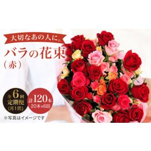 ふるさと納税 【6回定期便】 バラ の 花束 （赤） ＜花工房るふらん＞ [CCR021] 長崎県西海市