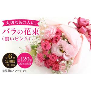 ふるさと納税 【6回定期便】バラ の 花束 （濃い ピンク ）＜花工房るふらん＞ [CCR024] 長崎県西海市