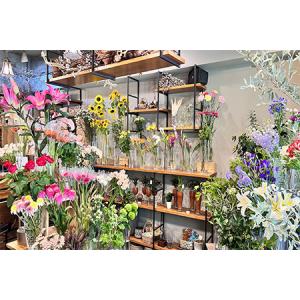 ふるさと納税 [kanon]【店頭受取・都内近...の詳細画像3