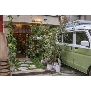 ふるさと納税 [kanon]【店頭受取・都内近...の詳細画像4