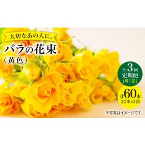 ふるさと納税 【3回定期便】バラ の 花束 （黄）＜花工房るふらん＞ [CCR032] 長崎県西海市
