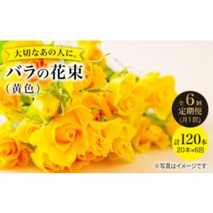 ふるさと納税 【6回定期便】バラ の 花束 （黄） ＜花工房るふらん＞ [CCR033] 長崎県西海市