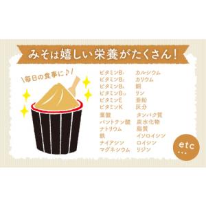 ふるさと納税 【手作りキット】【12回定期便】...の詳細画像3