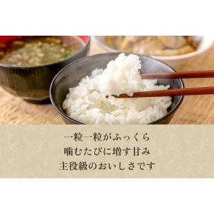ふるさと納税 【令和8年産新米先行予約】【定期...の詳細画像2