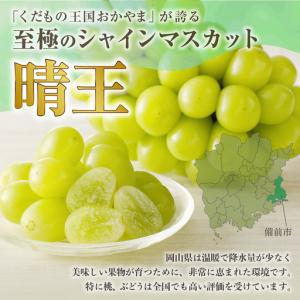 ふるさと納税 【2027年発送分・先行予約開始...の詳細画像1