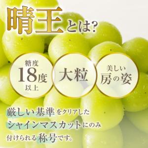 ふるさと納税 【2027年発送分・先行予約開始...の詳細画像2