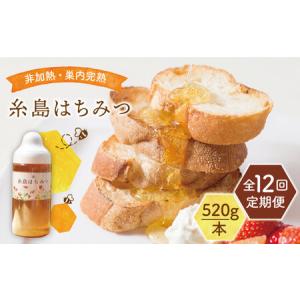 ふるさと納税 【全12回定期便】糸島 はちみつ 520g 糸島市 / ヴァンベールフーズ /百花 / 蜂蜜 [AFJ007] 福岡県糸島市