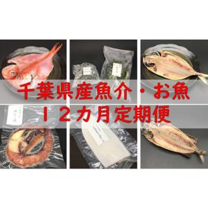 ふるさと納税 【頒布会】千葉県産魚介・お魚12カ月定期...