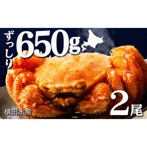 ふるさと納税 ☆北海道産 毛ガニ 約650g×2尾 セット かに 蟹 毛蟹 冷凍 北海道産 浜頓別町...