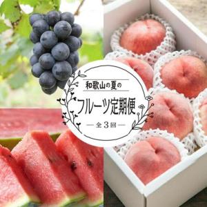 ふるさと納税 定期便全3回 和歌山の人気の夏のフ...の商品画像