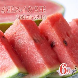 ふるさと納税 定期便全3回 和歌山の人気の夏の...の詳細画像1