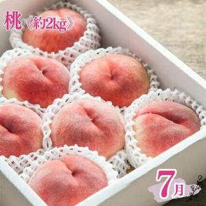 ふるさと納税 定期便全3回 和歌山の人気の夏の...の詳細画像2