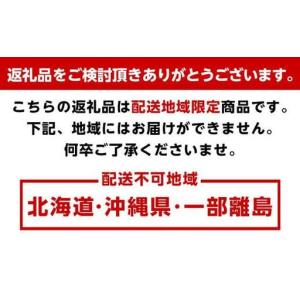ふるさと納税 定期便全3回 和歌山の人気の夏の...の詳細画像4