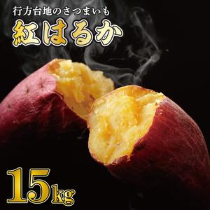 ふるさと納税 【2026年2月より順次発送】★訳あり★ 無選別 行方台地のさつまいも 紅はるか 約1...