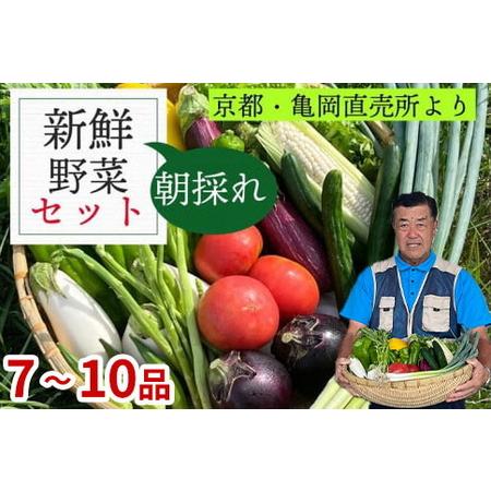 ふるさと納税 訳あり 新鮮 季節の野菜 セット 7〜10品目 ※北海道・沖縄・離島への配送不可 農家...