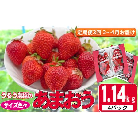 ふるさと納税 定期便 3回 いちご 発送時期 2025年2月〜4月 うるう農園のあまおう サイズ色々...