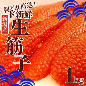 ふるさと納税 令和6年産 先行予約 生筋子 1kg【 新潟県産 予約 はらこ いくら J41 】 新...