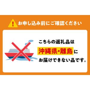 ふるさと納税 【アサヒビール発祥の地】スーパー...の詳細画像4